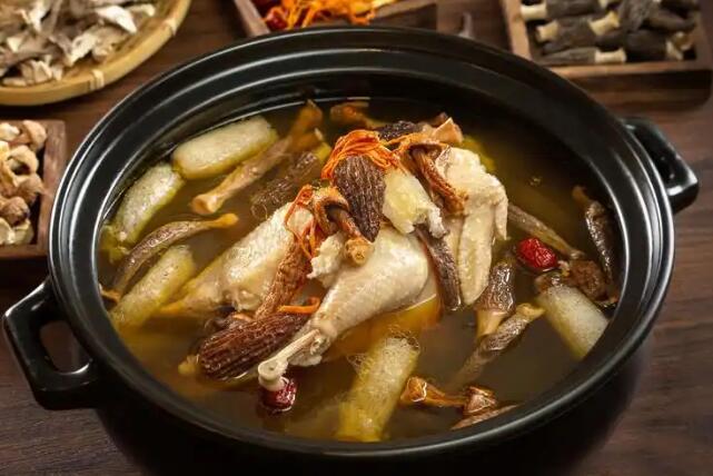 平菇黄豆芽汤的功效网—知名的黄豆芽平菇可以一起煮汤吗网站,分享平菇黄豆芽汤的功效与禁忌知识