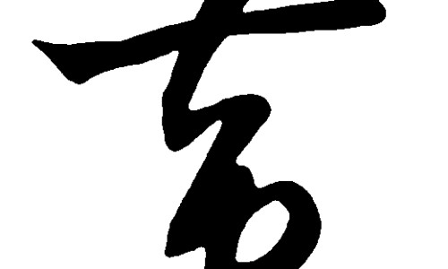 平菇黄豆芽汤的功效网—知名的黄豆芽平菇可以一起煮汤吗网站,分享平菇黄豆芽汤的功效与禁忌知识